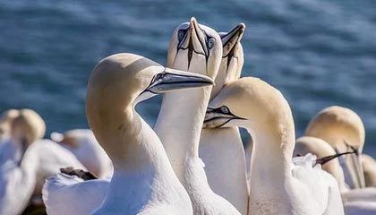 临海高价上海医保提取2025的最新政策(2025年临海上海医保怎么提取现金分享)