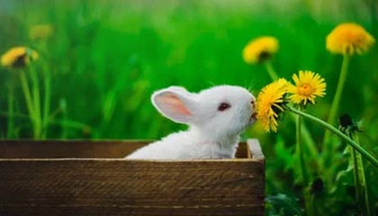 临海高价上海医保提取2025的最新政策(2025年临海上海医保怎么提取现金分享)